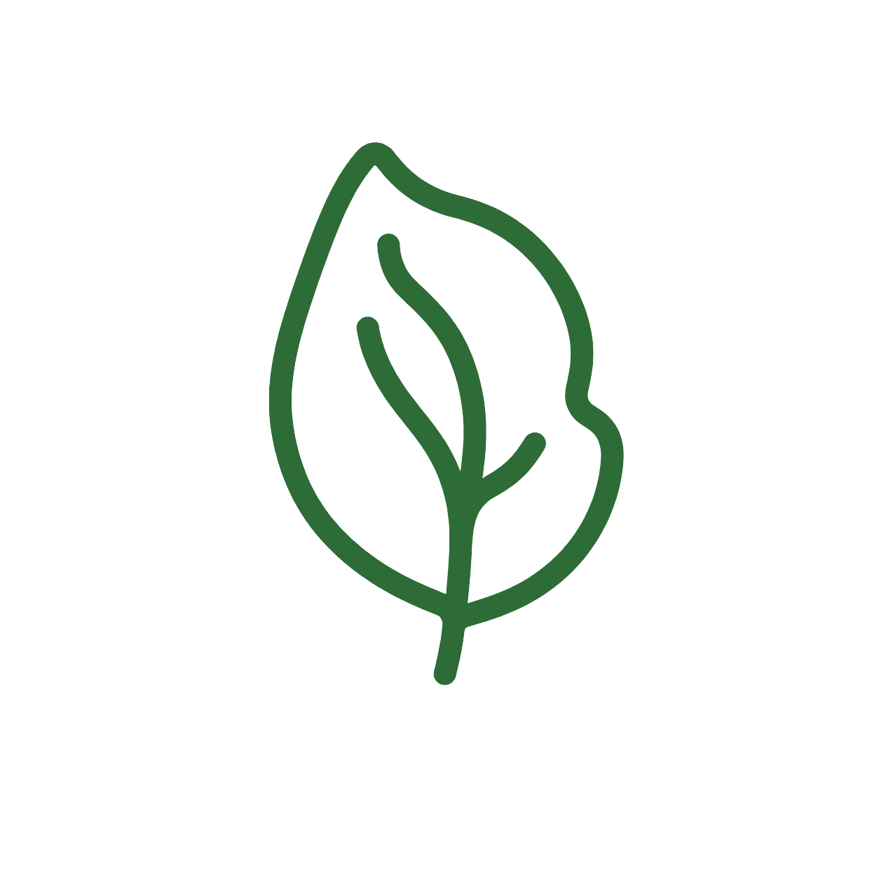 folha-ingredientes-naturais