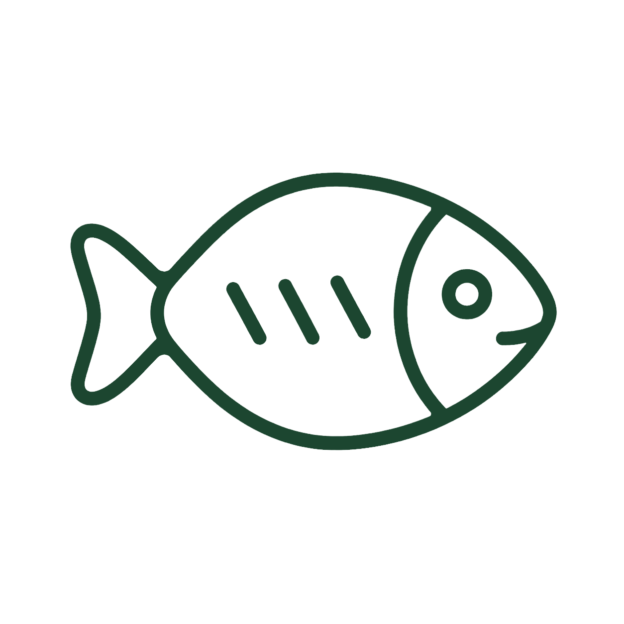peixinho-melhorado-sem-fundo